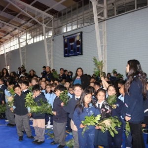Celebración de Ramos